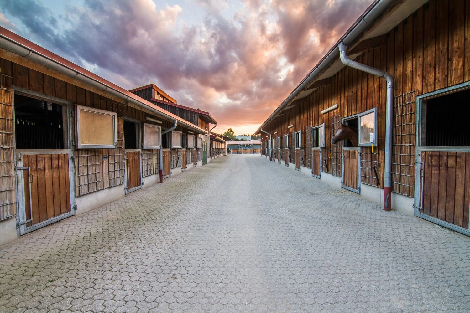 Reitsportzentrum München GbR - Reithalle