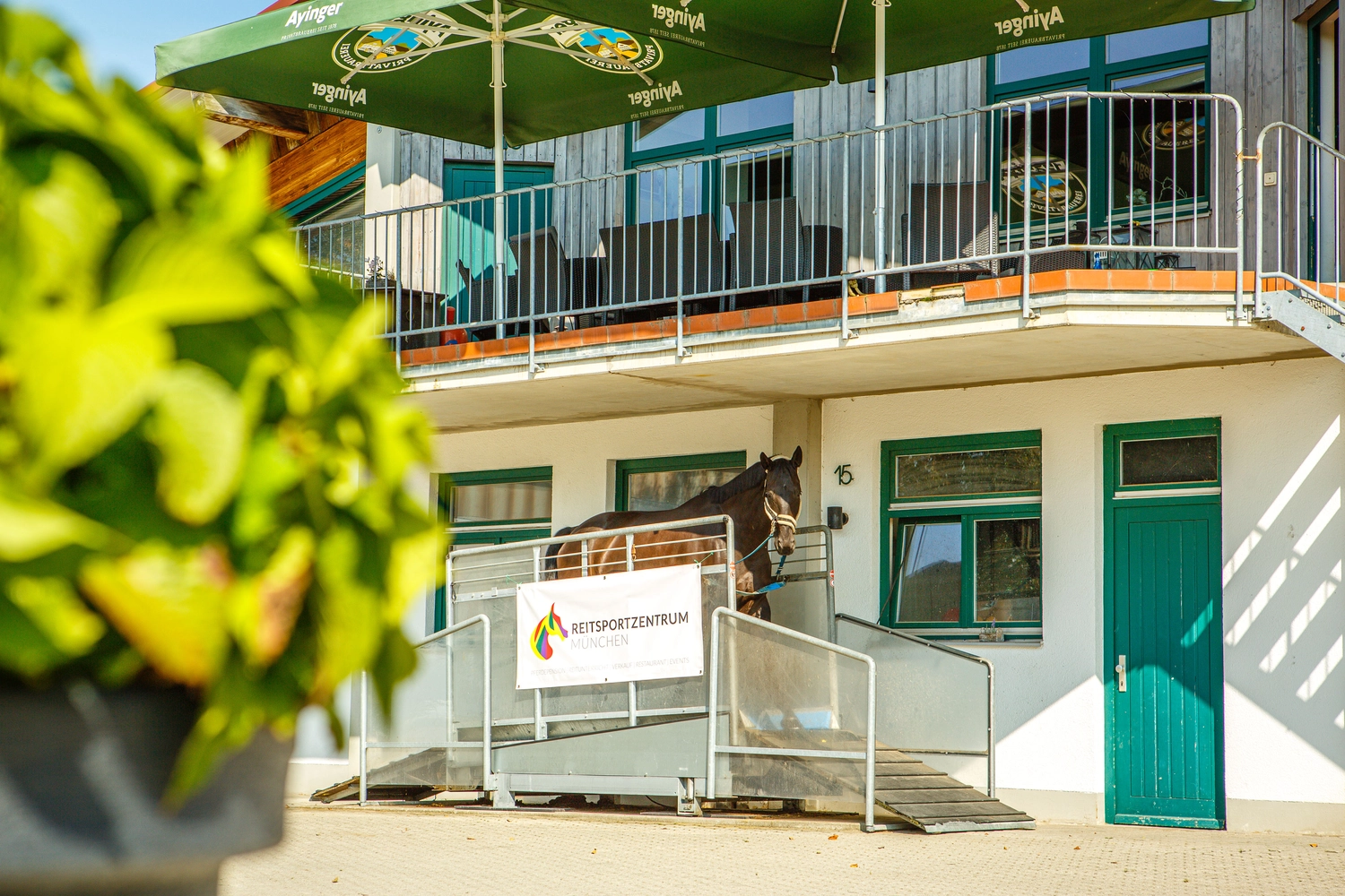 Reitsportzentrum München GbR -Laufband