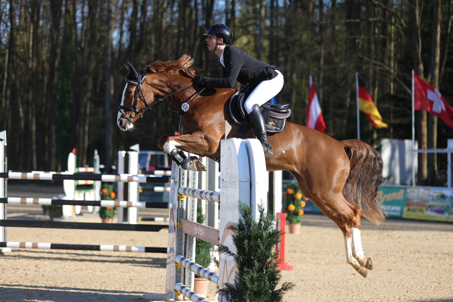 Reitsportzentrum München GbR - Reiten
