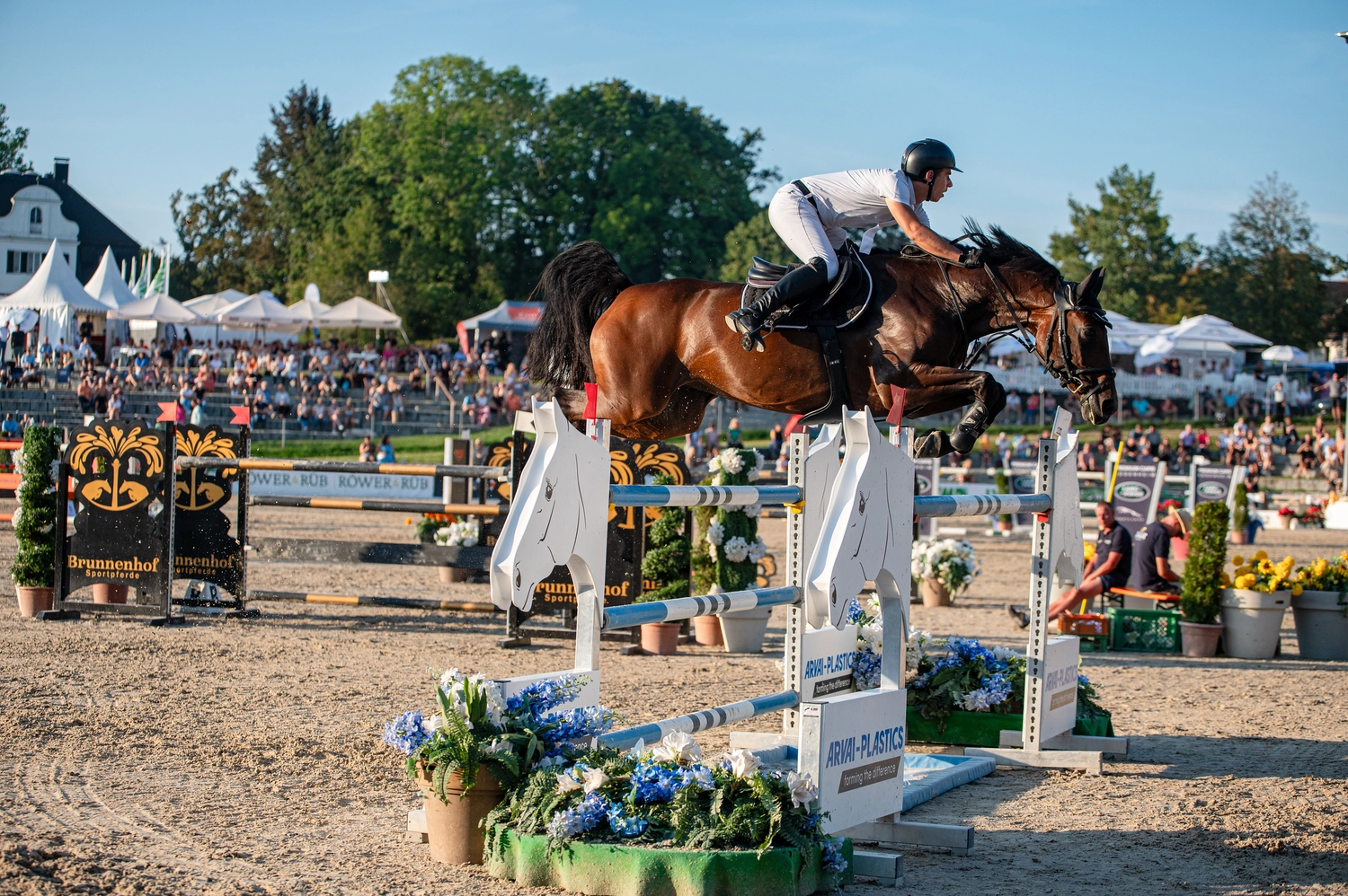 Reitsportzentrum München GbR - Reiten