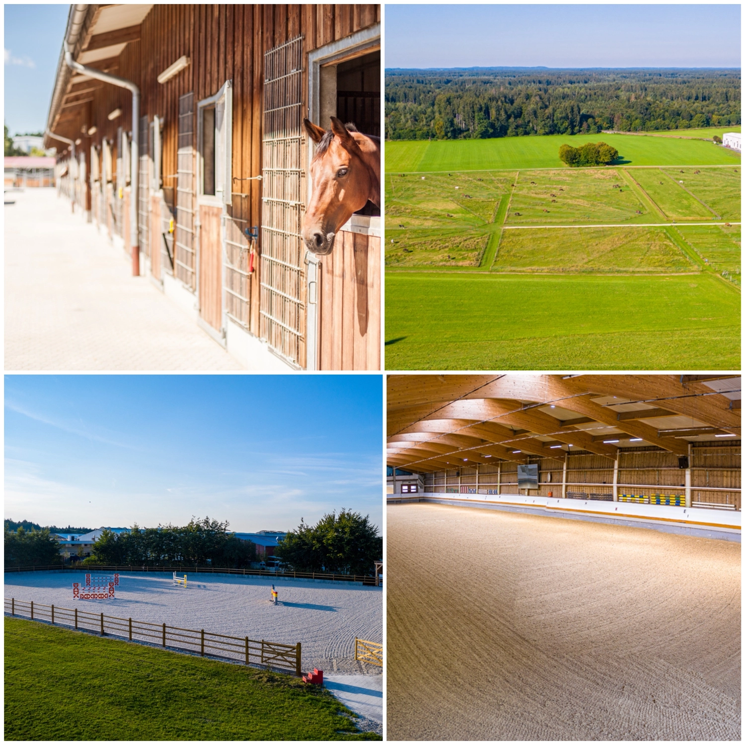 Reitsportzentrum München GbR – Diese wunderschöne Reitanlage verfügt über gepflegte Ställe, weitläufige grüne Weiden, einen umzäunten Außenreitplatz und eine großzügige Reithalle. Diese unterschiedlichen Räume sind so konzipiert, dass sie umfassende Unterbringungs-, Trainings- und Übungsumgebungen für Pferde bieten.